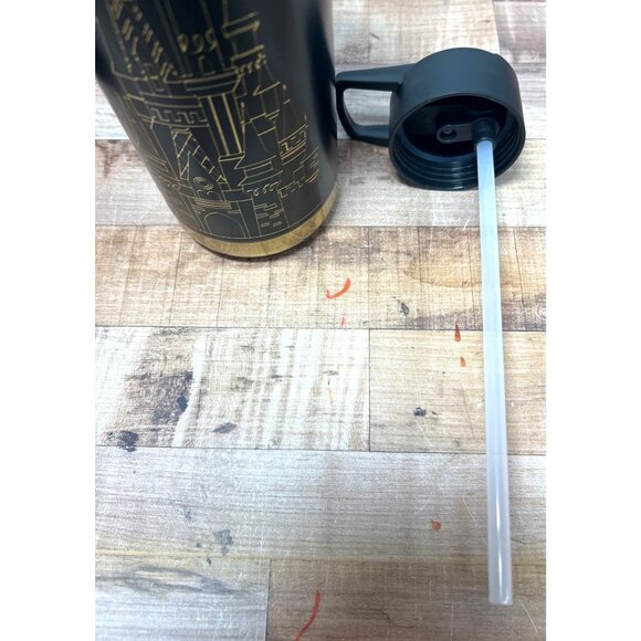 Disney Magic Castle Water Bottle Wide Mouth Stainless Steel Insulated Tumbler Lg - Picture 6 of 8